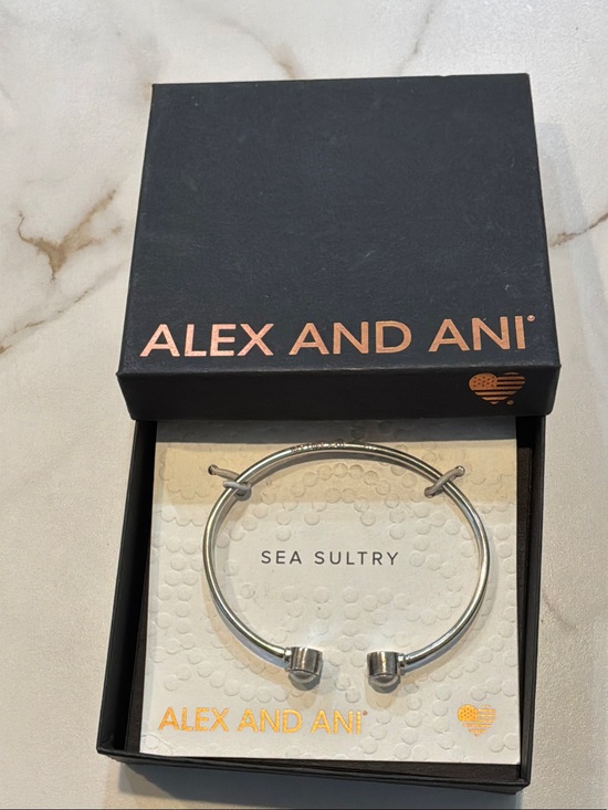 Alex and Ani Jewelry - Alex and Ani Silver Bangle Bracelet